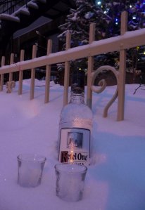 I'll miss Montreal's winters - including chilling vodka in the garden! Photo: Patricia Maunder